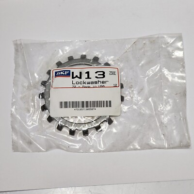 W 13 SKF